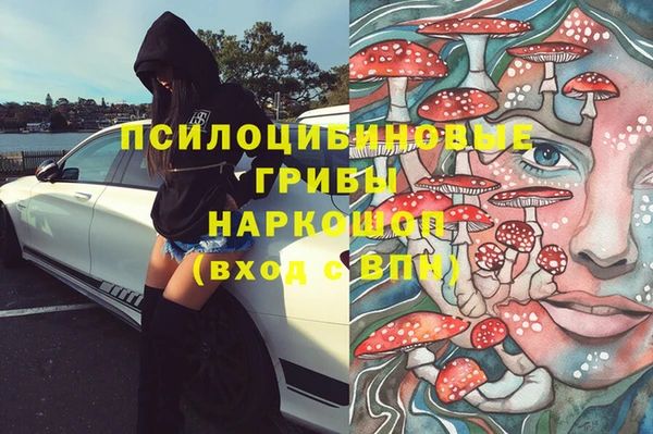 первитин Армянск