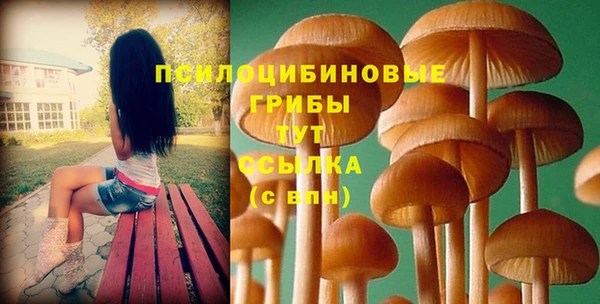 альфа пвп Каменка