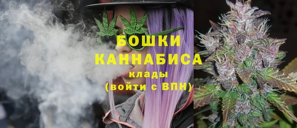 ешки Арсеньев